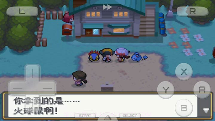 口袋妖怪：魂银 免通讯进化版截图3