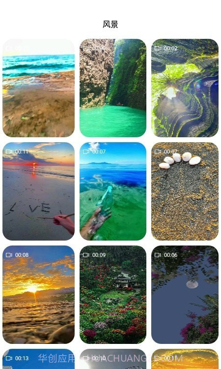 飞花动态壁纸截图3 飞花动态壁纸截图3