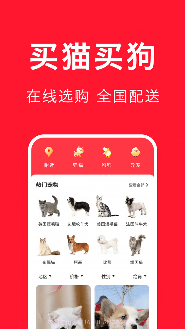 宠物宝截图4 宠物宝截图4