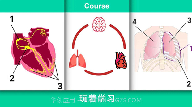 真实医疗模拟器截图4 真实医疗模拟器截图4