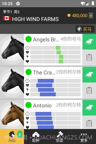马赛跑截图3 马赛跑截图3
