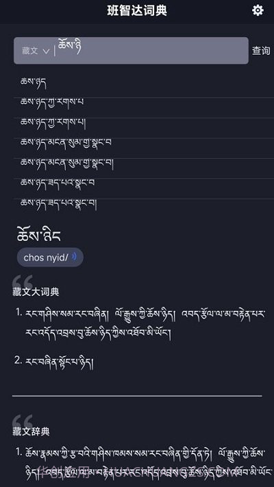 班智达词典截图4 班智达词典截图4