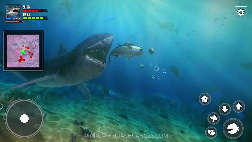3D海底大猎杀-饥饿鲨截图1 3D海底大猎杀-饥饿鲨截图1