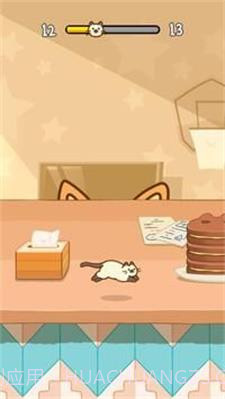 躲猫猫小狗与小猫截图2 躲猫猫小狗与小猫截图2