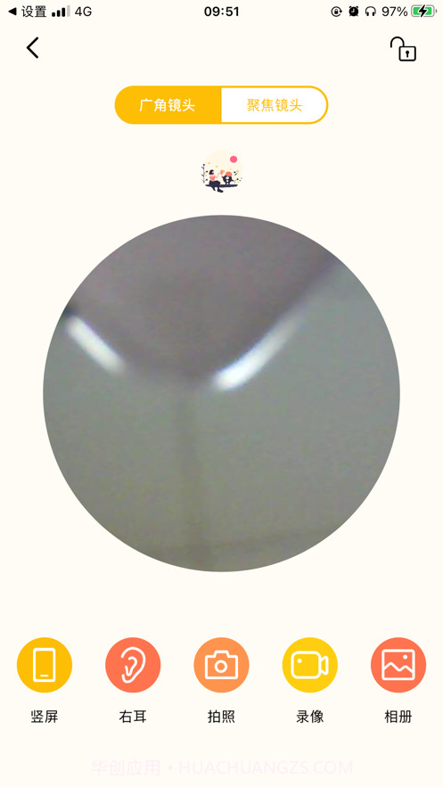 黄蜂采耳截图4 黄蜂采耳截图4