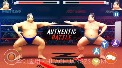 日本相扑赛截图4