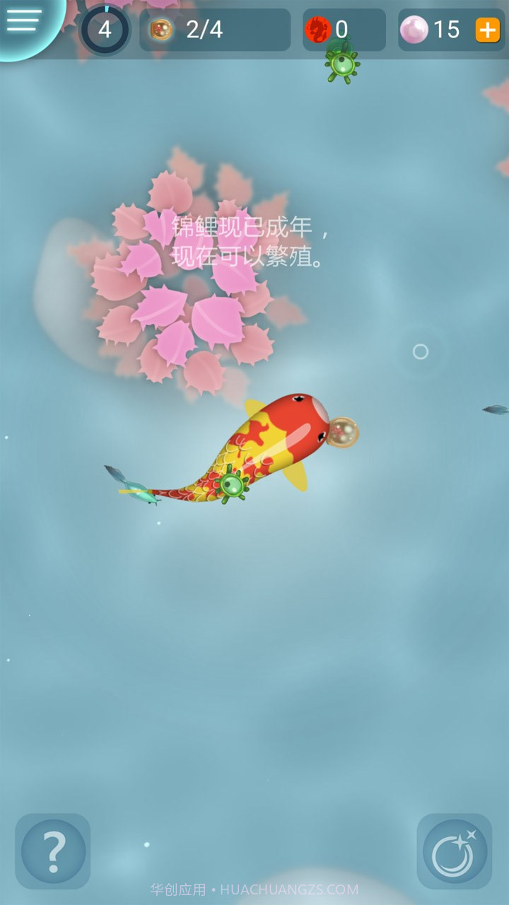 禅宗锦鲤截图3 禅宗锦鲤截图3