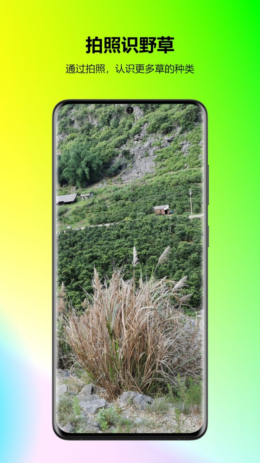 万能拍照识花截图3