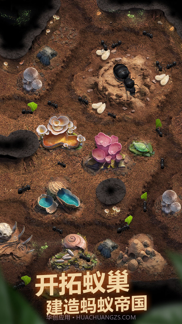 小小蚁国截图2