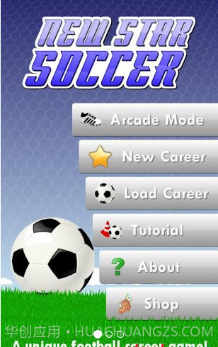 New Star Soccer截图1 New Star Soccer截图1