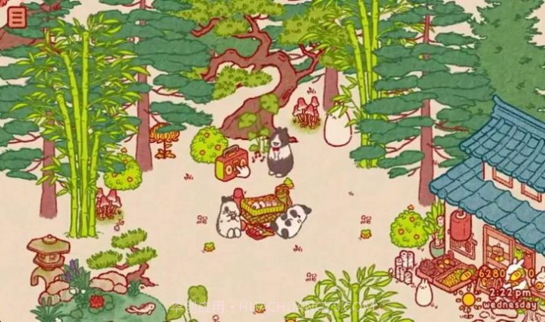 兔兔岛免广告版截图2