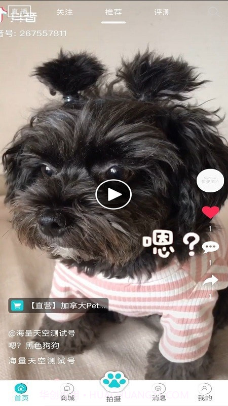 分分宠最新版截图1 分分宠最新版截图1