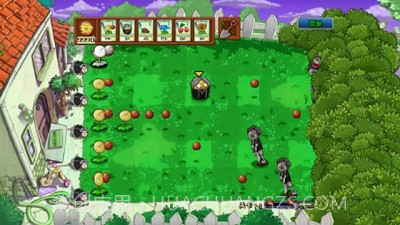 植物大战僵尸坤坤版截图2