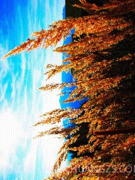 8位风格照片工坊8Bit Photo截图7 8位风格照片工坊8Bit Photo截图7