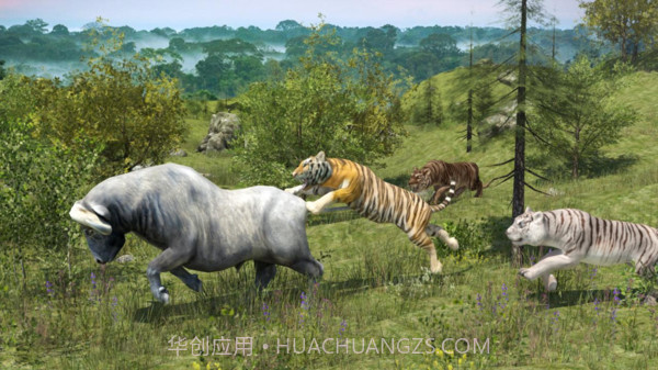 野生老虎模拟器官网版截图2