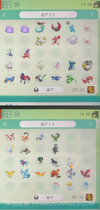 宝可梦Home国际服截图3 宝可梦Home国际服截图3