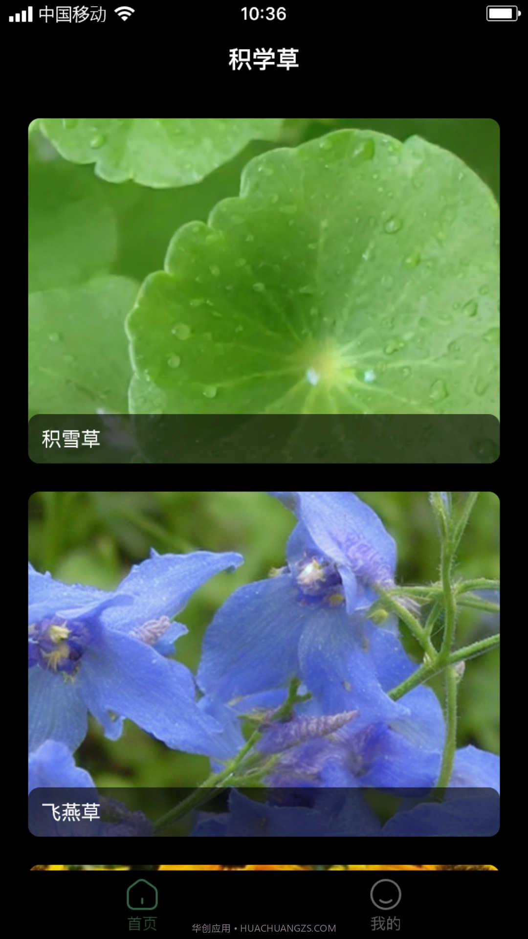 积学草截图1 积学草截图1