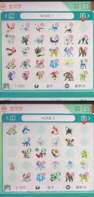 宝可梦Home国际服截图4 宝可梦Home国际服截图4