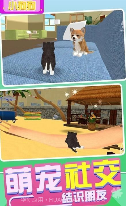 奔跑吧小狗狗截图2 奔跑吧小狗狗截图2