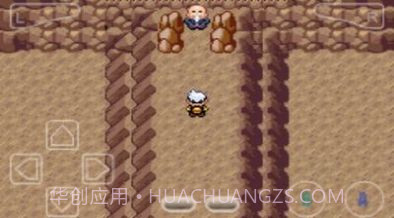 口袋妖怪花月残截图1