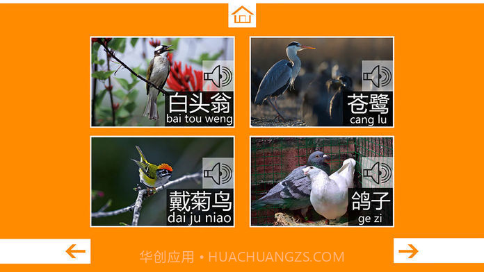 动物叫声最新版截图2 动物叫声最新版截图2