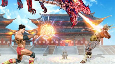 功夫格斗大师截图1 功夫格斗大师截图1
