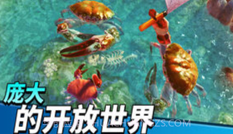 猛蟹之王截图3