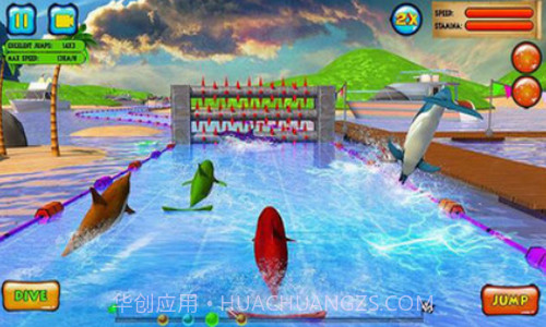 海豚比赛3D截图3