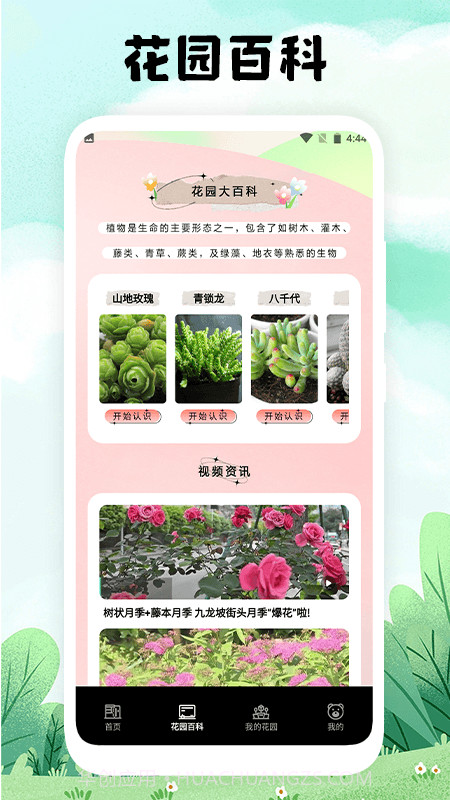 万物识图官网版截图4