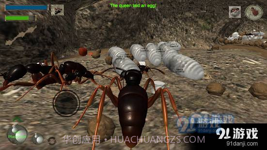 3d蚂蚁模拟器中文版截图3 3d蚂蚁模拟器中文版截图3