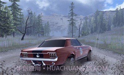 CarX拉力赛15609截图4 CarX拉力赛15609截图4