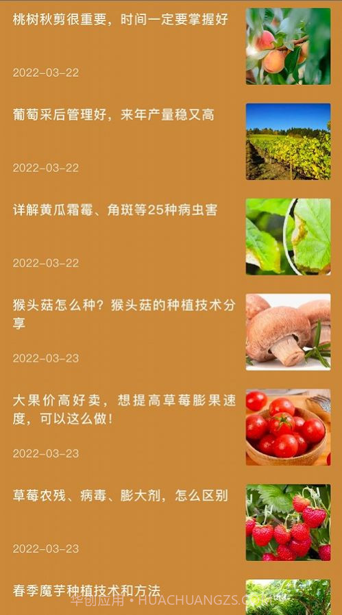 田园小院子截图1 田园小院子截图1