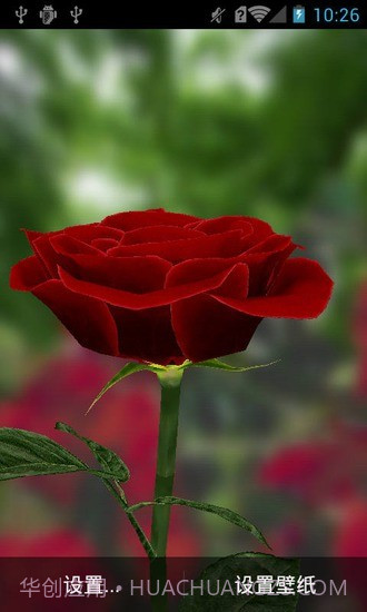 3D玫瑰动态壁纸截图3