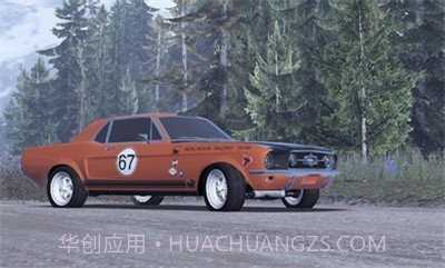 CarX拉力赛15609截图2 CarX拉力赛15609截图2