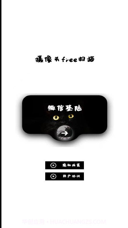 网络摄像头检测器截图2