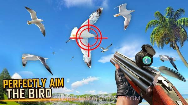 野鸟狩猎截图1