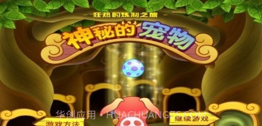 神秘的宠物截图4 神秘的宠物截图4