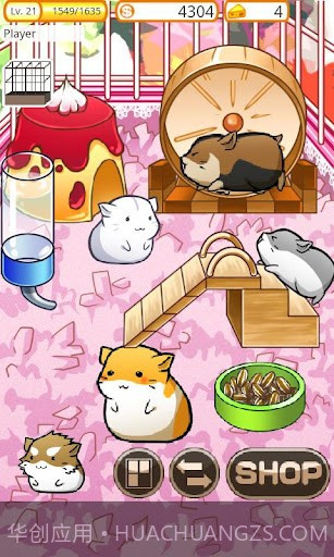 可爱的小仓鼠 Hamster Life截图3