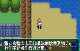 口袋妖怪零世界beta0.5截图3