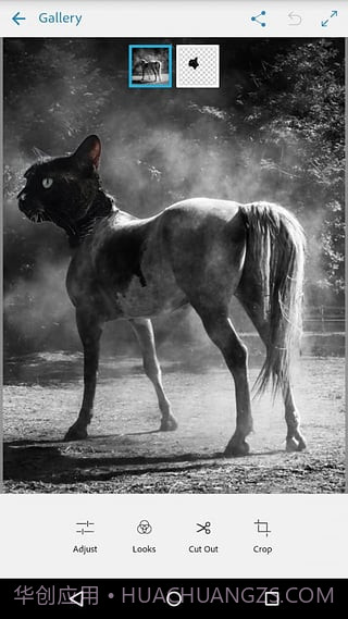 Adobe Photoshop Mix截图4