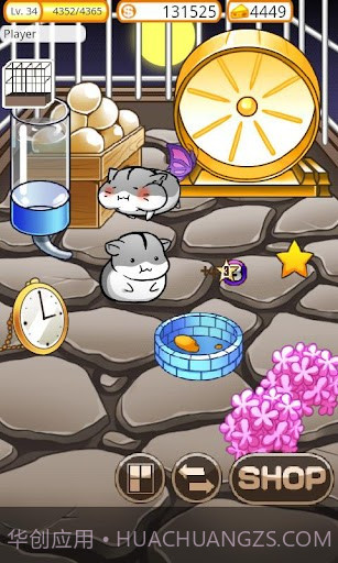 可爱的小仓鼠 Hamster Life截图4