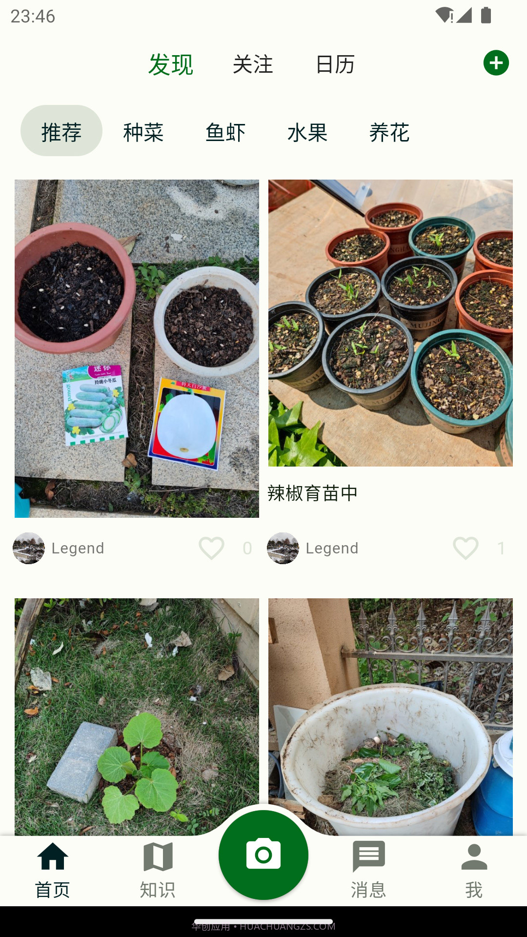 鱼菜记养花种菜截图1 鱼菜记养花种菜截图1