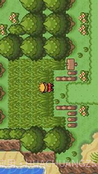 口袋妖怪:釉色截图4 口袋妖怪:釉色截图4