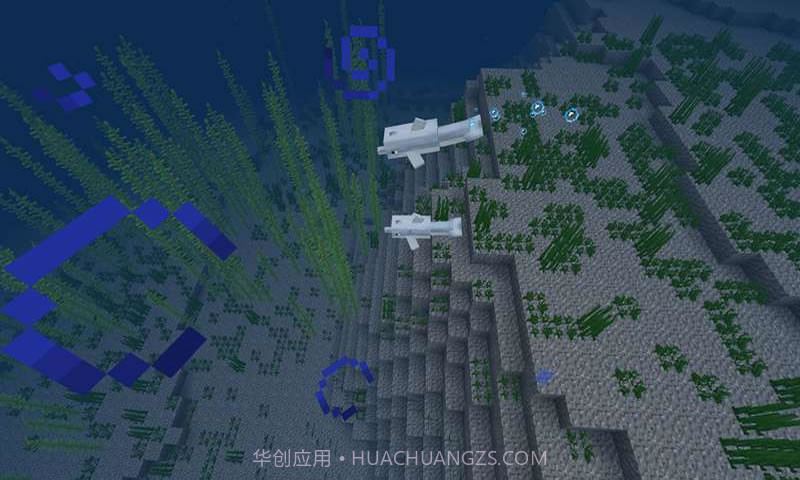 我的世界海洋最新版截图4 我的世界海洋最新版截图4