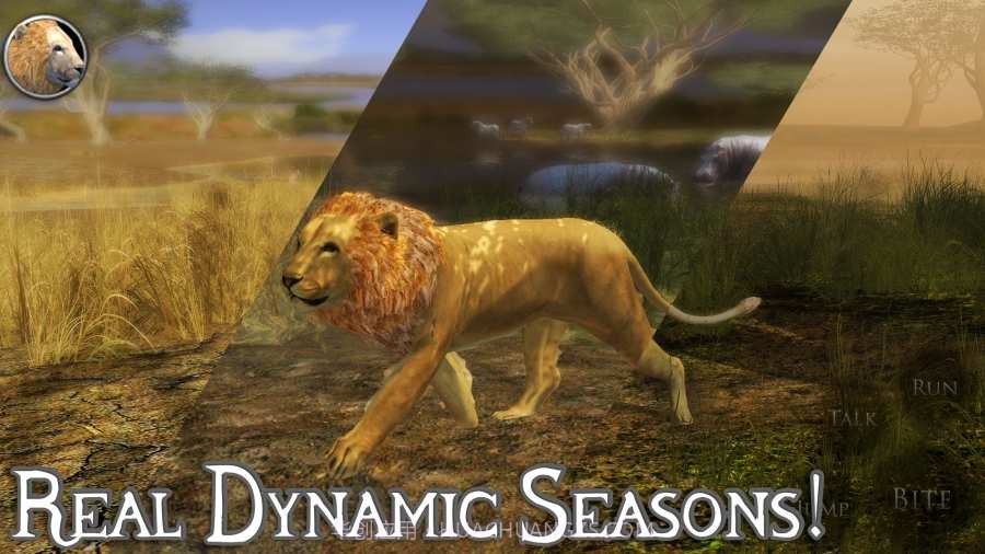 终极狮子模拟器无限经验截图1