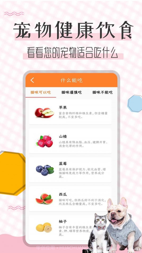 猫语翻译宝截图5 猫语翻译宝截图5