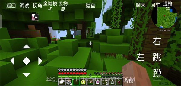 岚之都宝可梦截图3