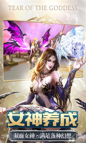 女神之泪截图2