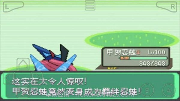 口袋妖怪绿宝石完美中文版截图1