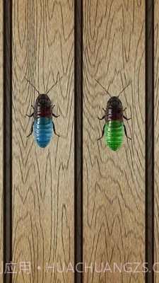 蟑螂终极淘汰赛截图4 蟑螂终极淘汰赛截图4